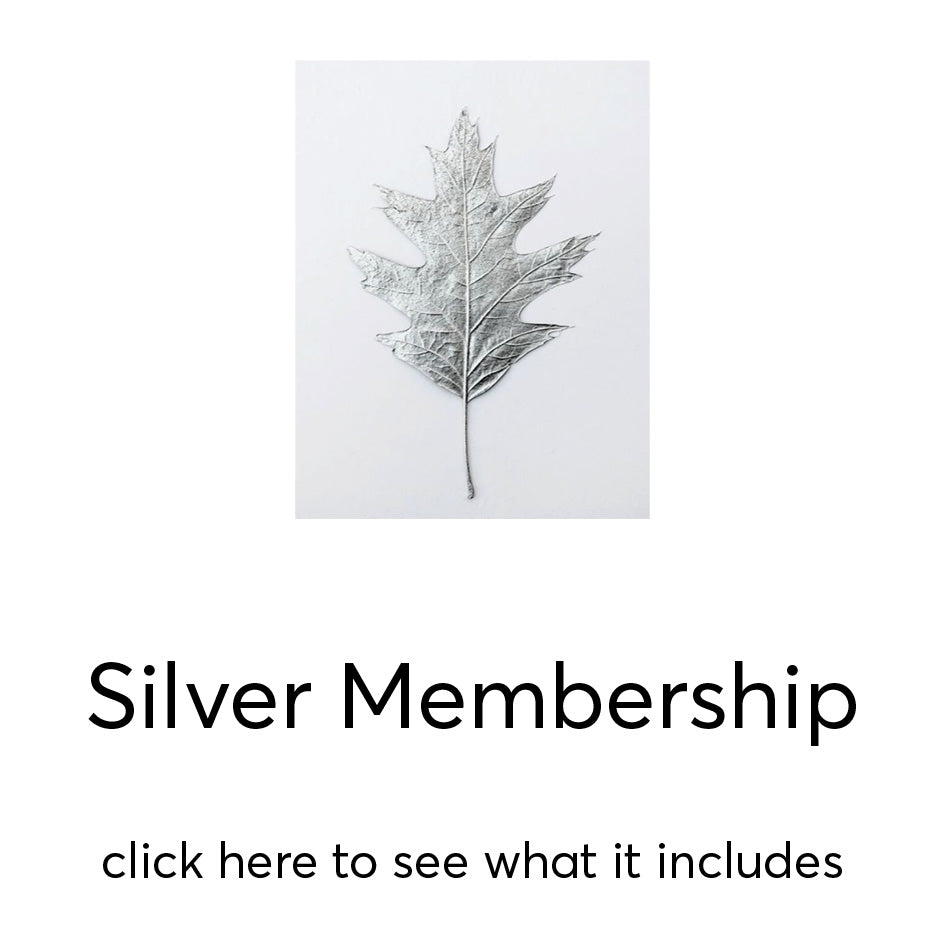 Silver Membership